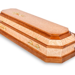 ВОСЬМИГРАННИК КОРЕНЬ ВОСЬМИГРАННИК КОРЕНЬ