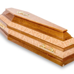 ШЕСТИГРАННИК КОРЕНЬ ЯСЕНЯ ШЕСТИГРАННИК КОРЕНЬ ЯСЕНЯ