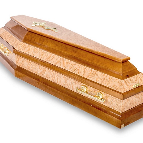 ШЕСТИГРАННИК КОРЕНЬ ЯСЕНЯ